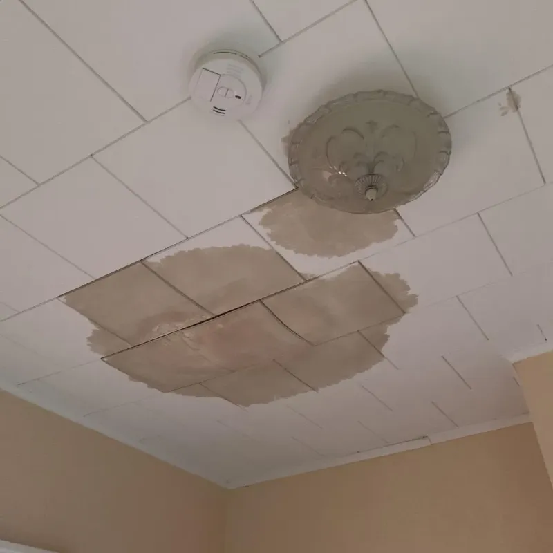 Ceiling Water Damage Repair in Burlington, ND