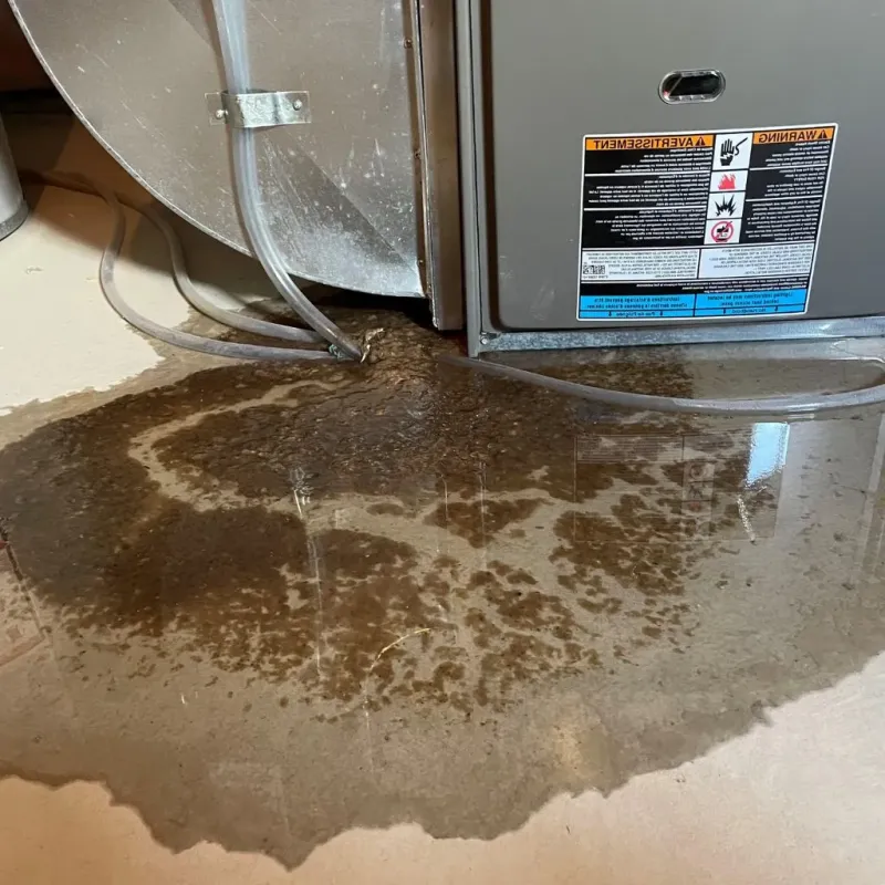 Pipe Burst and Leak Restoration in Burlington, ND