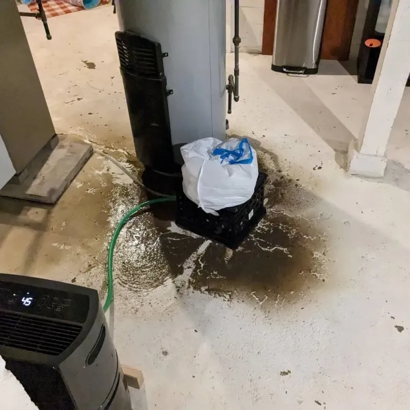 Sewage Backup Cleanup Service in Burlington, ND